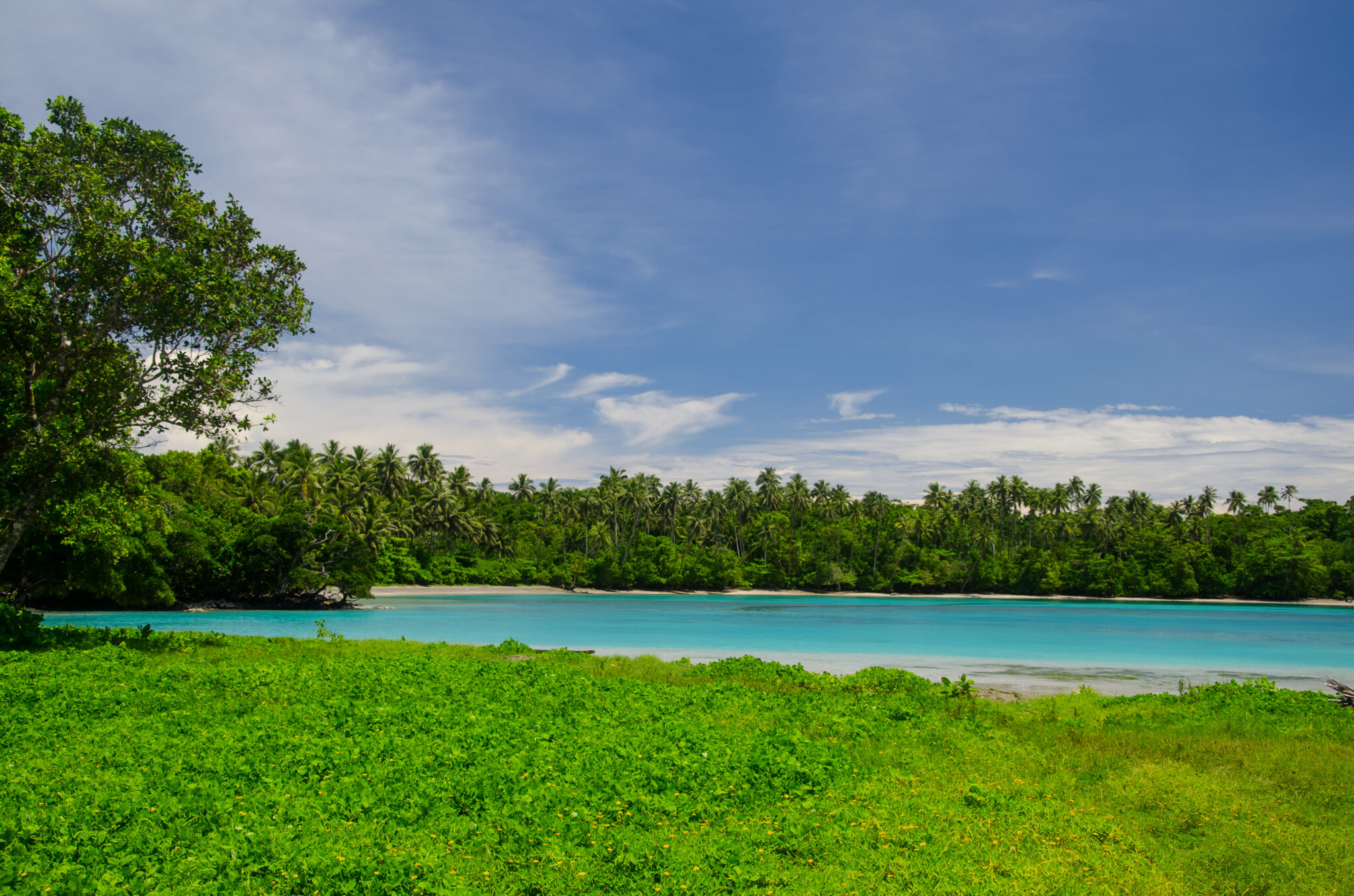 A,Landscape,Of,The,Sea,Surrounded,By,Greenery,Under,A