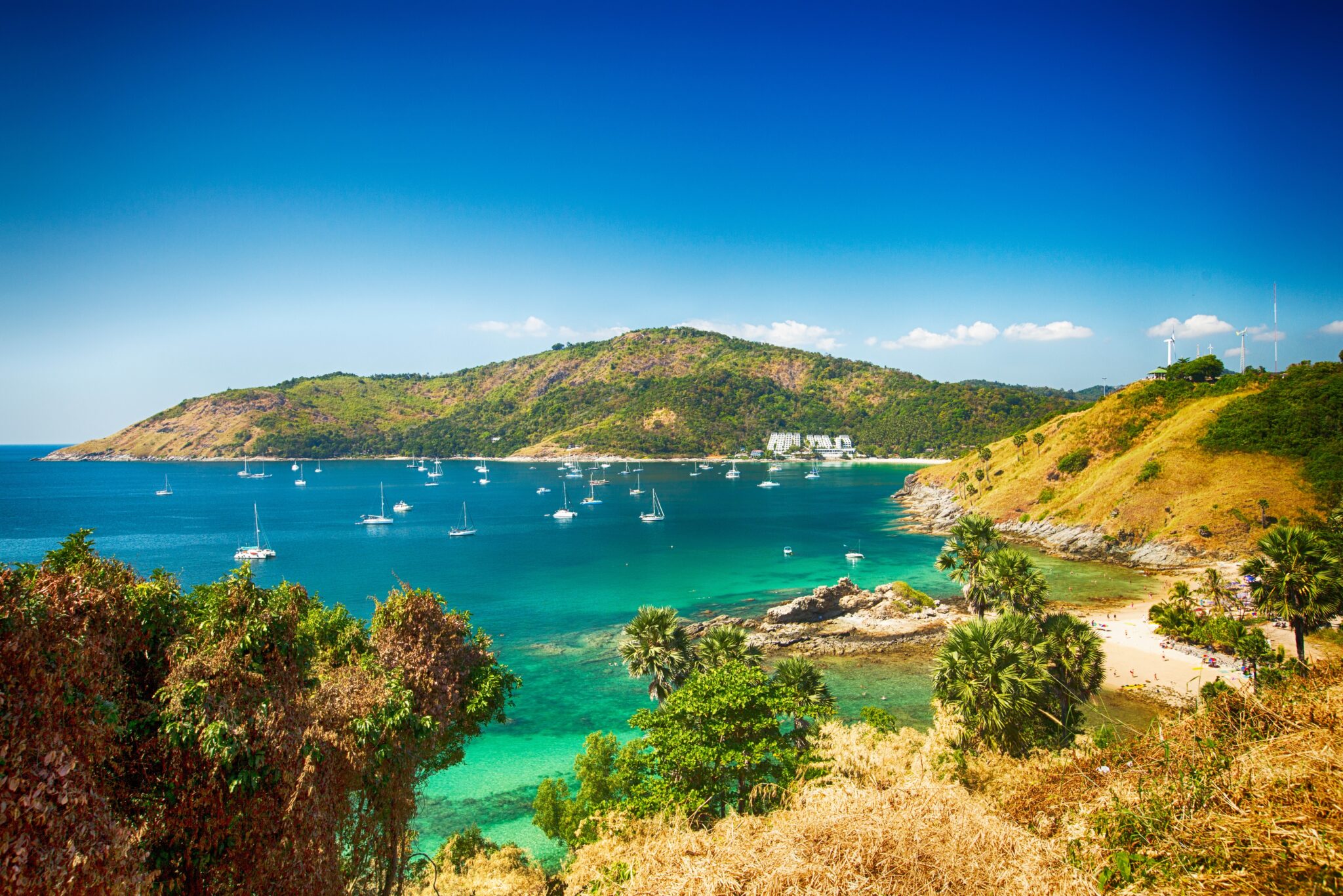 Scenic,Overlook,Of,Nai,Harn,Beach,Showing,Gentle,Waves,,Curved