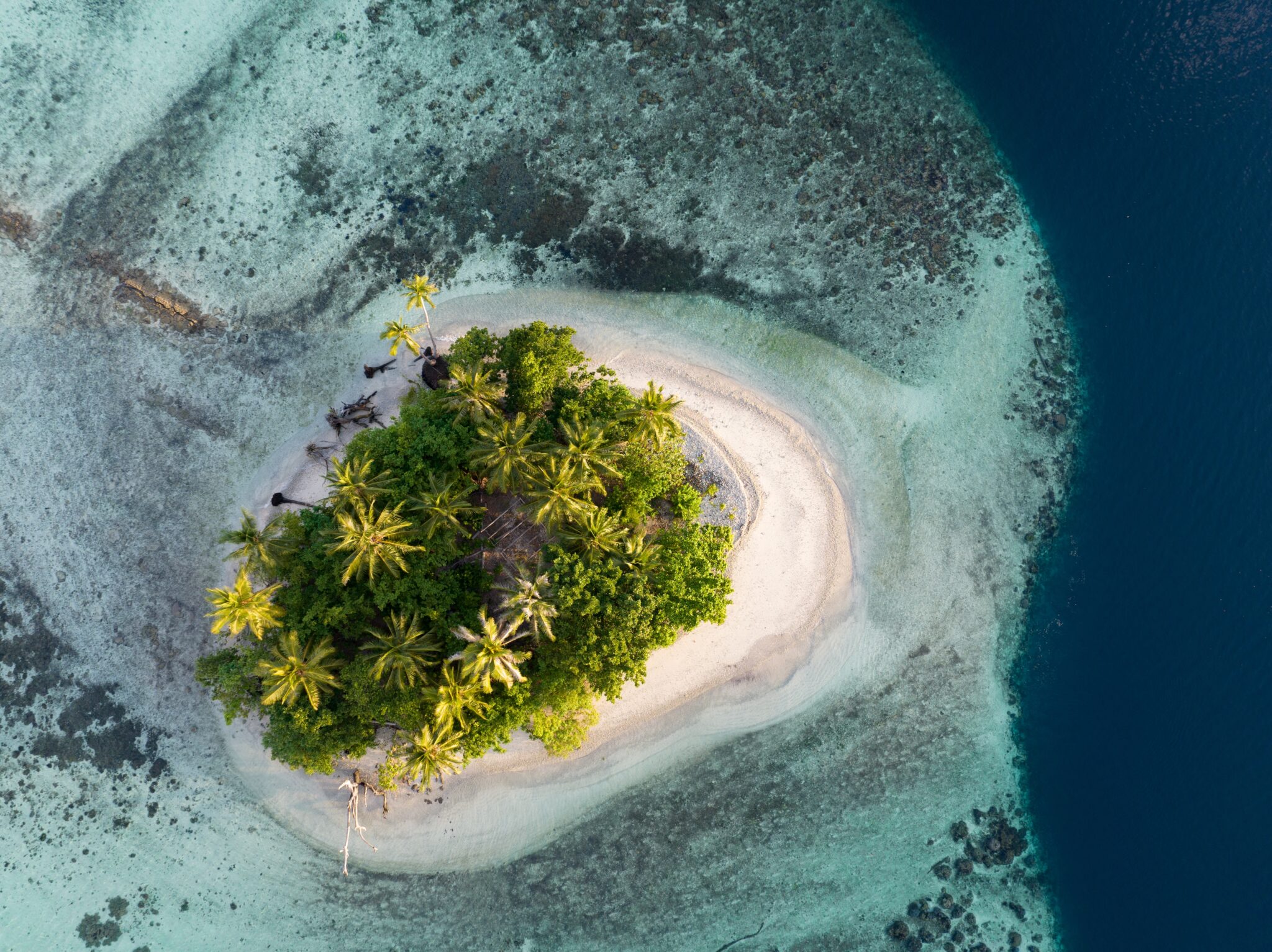 A,Beautiful,Coral,Reef,Surrounds,A,Scenic,Island,In,The
