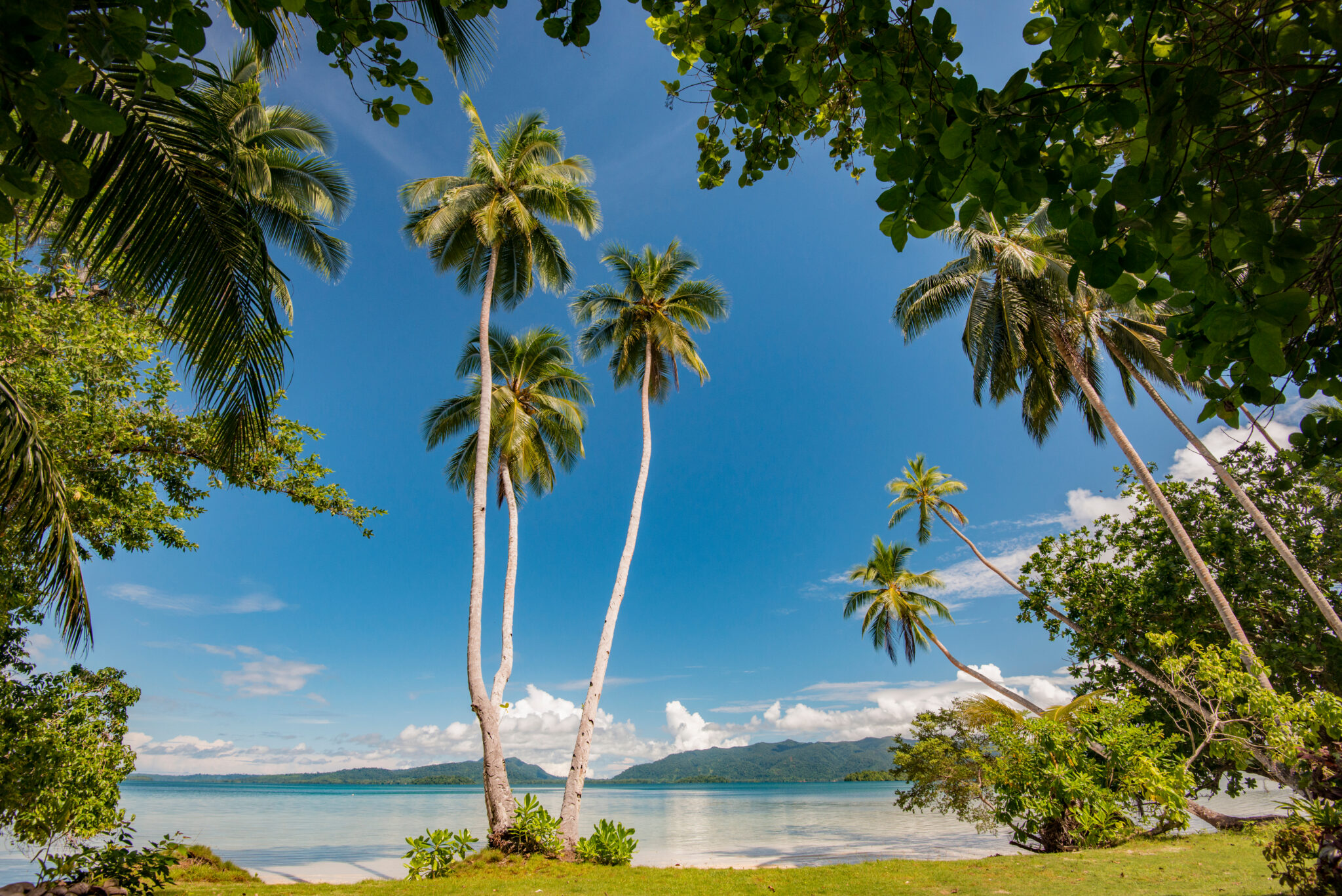 Tropical,Beach,Uepi,Island,Marovo,Lagoon,Solomon,Islands