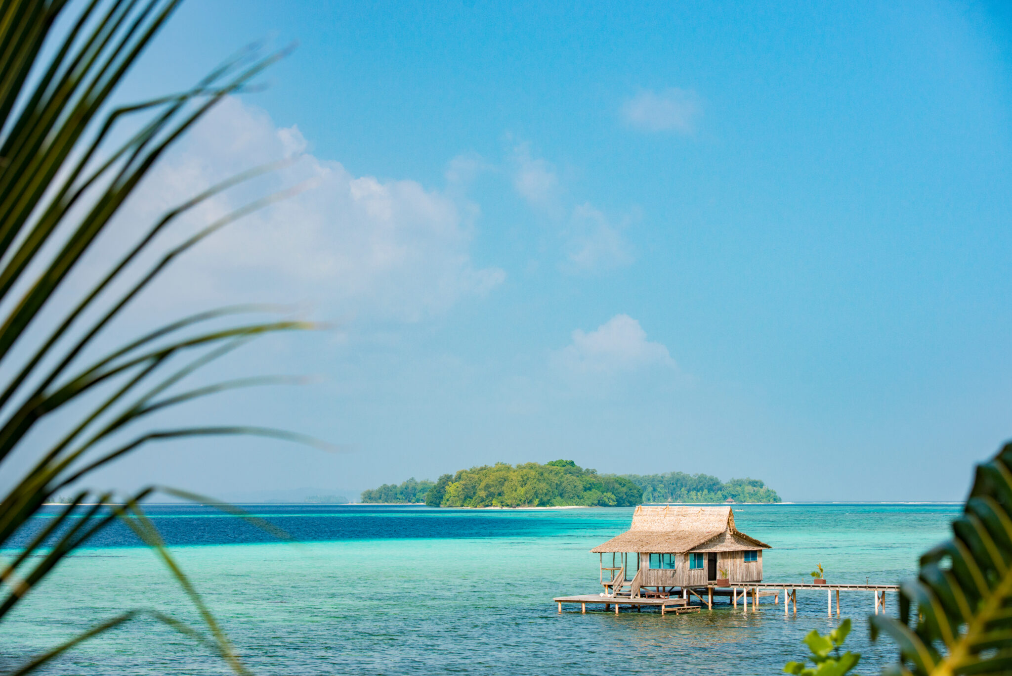 Tropical,Beach,On,The,Solomon,Islands