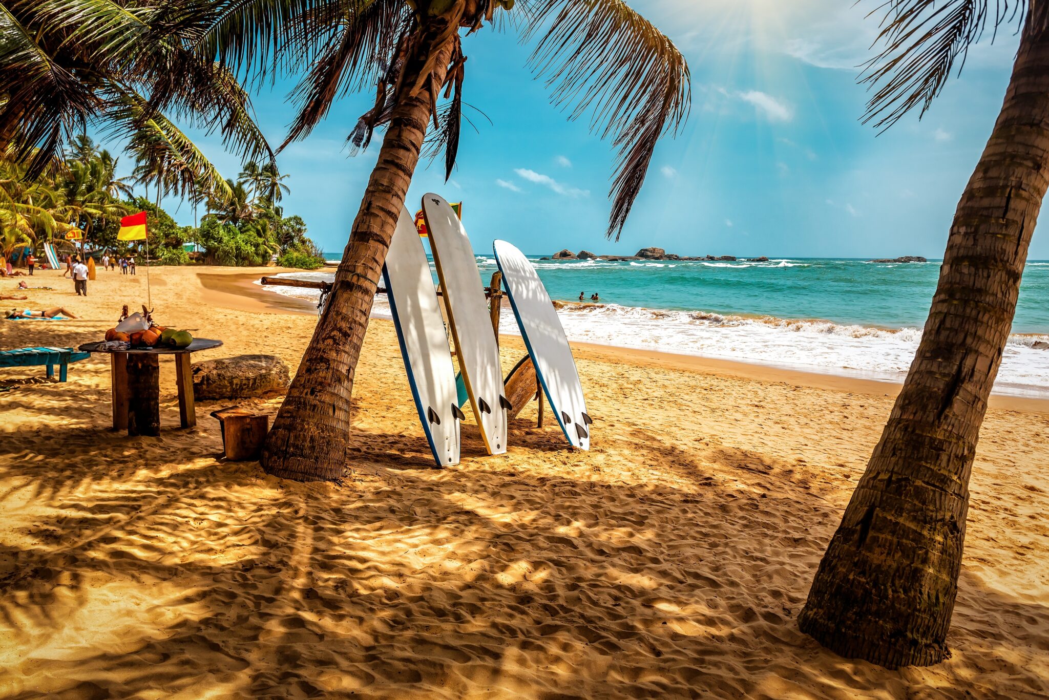 Surfboard,And,Palm,Tree,On,The,Beach,,Surfing,Area.,Travel