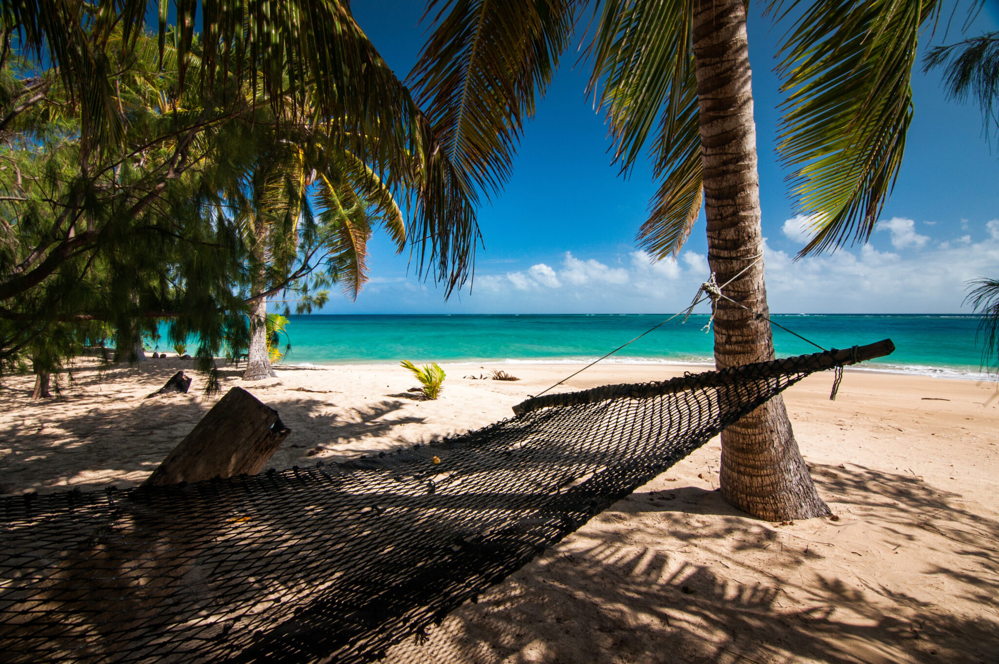Hammock,On,Tropical,Beach,Paradise,On,Uoleva,Island,,Kingdom,Of