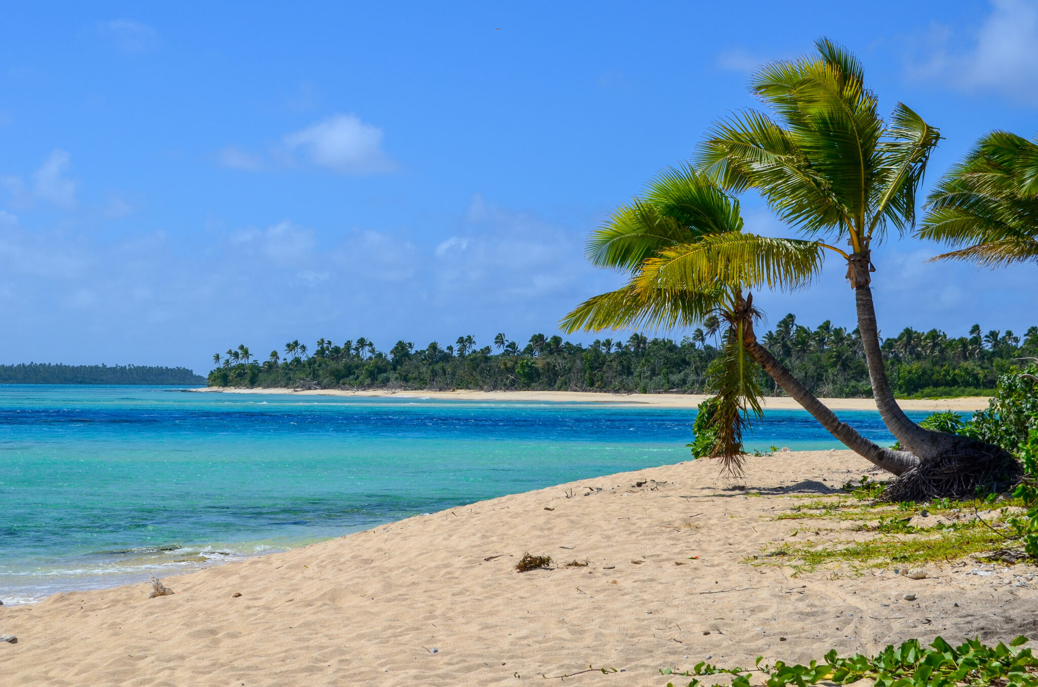 Amazing,Beach,In,Foa,Island,,Ha’apai,Group,,Kingdom,Of,Tonga