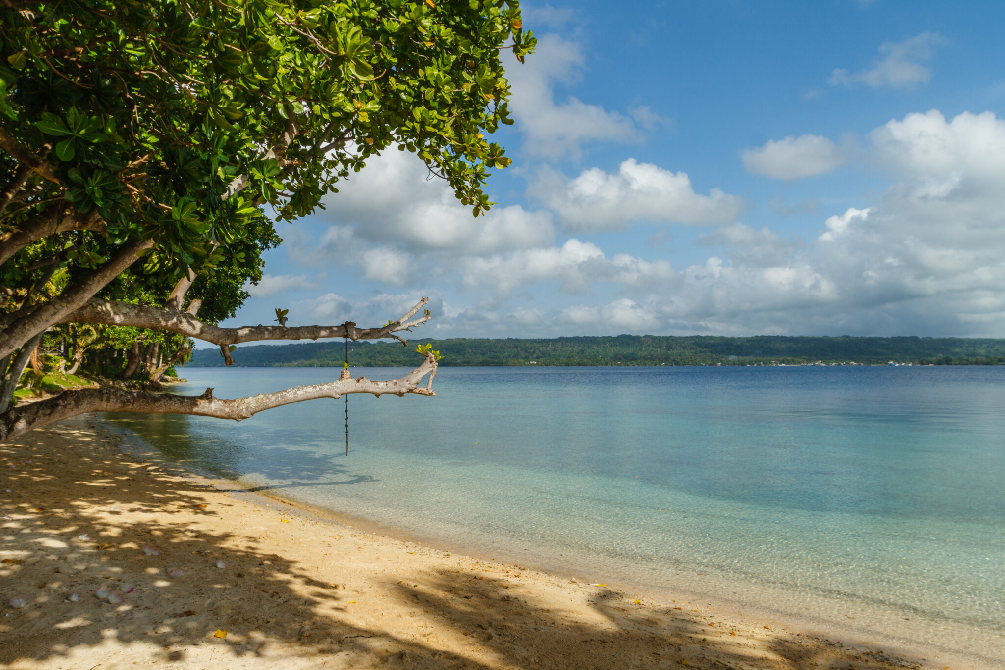 Rope,Swing,On,The,Beach,,Aore,Island,,Republic,Of,Vanuatu.