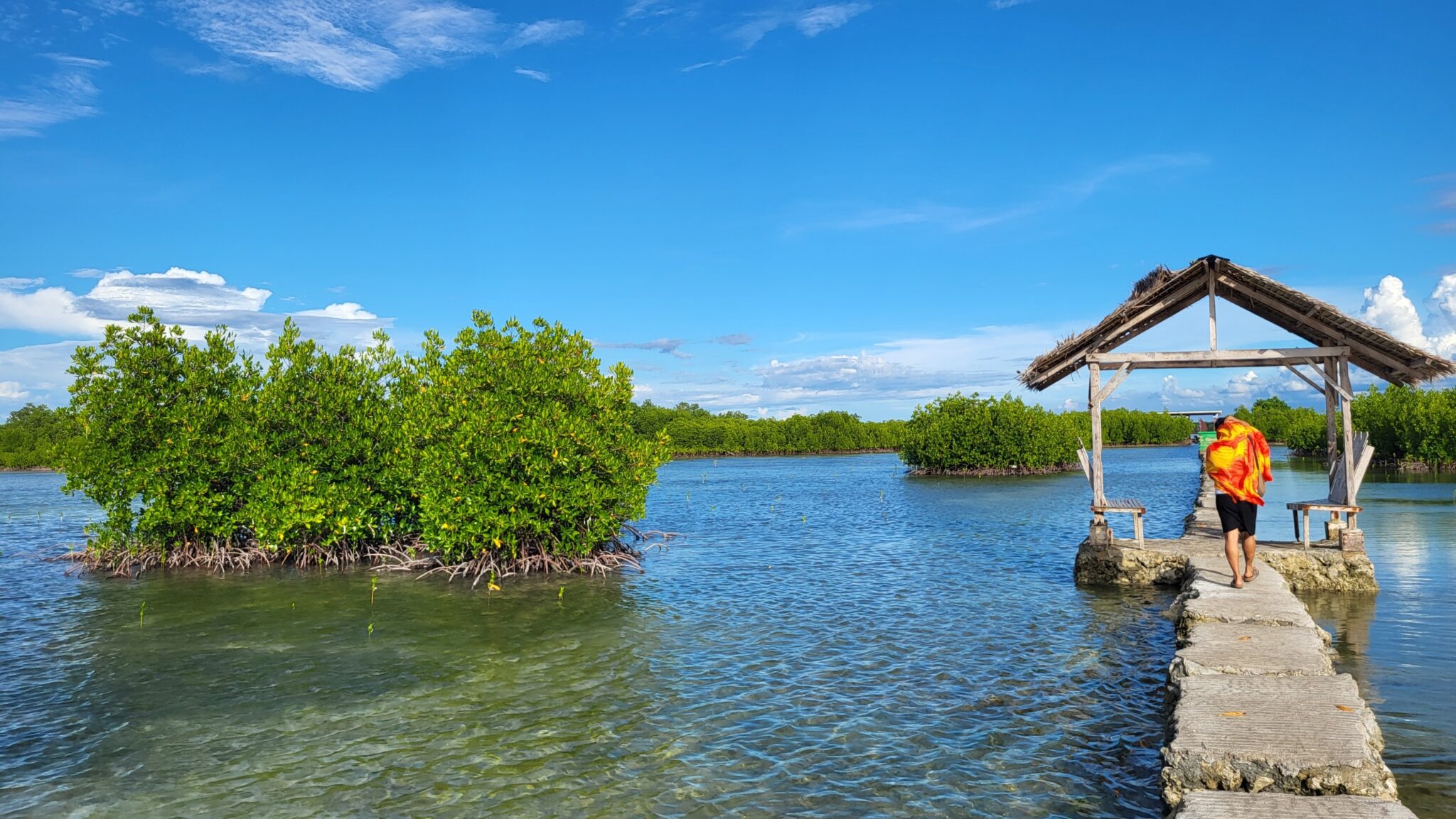 Mangroves,In,The,Olango,Island,Bird,Wildlife,Sanctuary,In,The