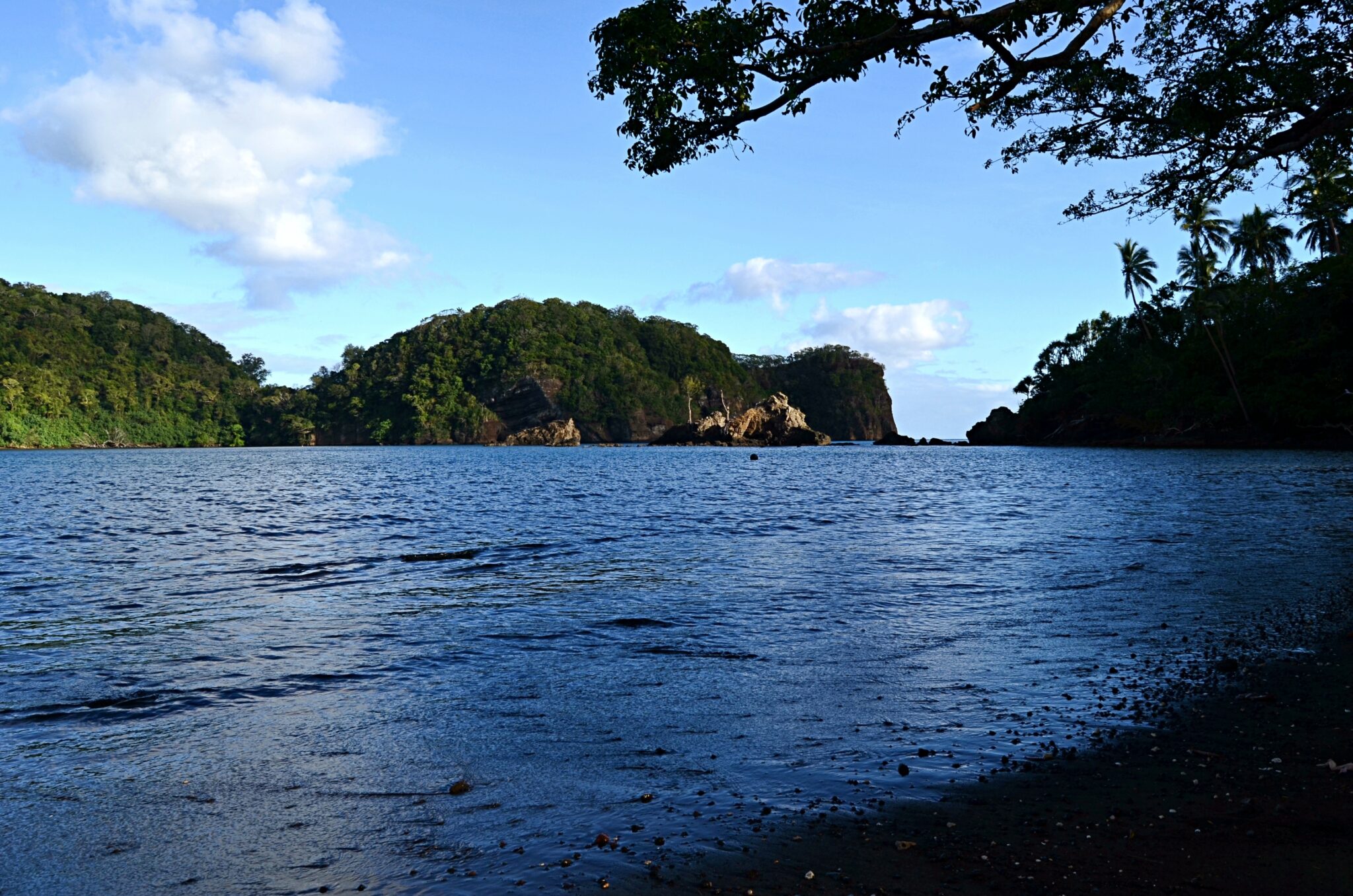 Rocky,Coast,And,Green,Jungle,Of,Ambae,Island,,Vanuatu