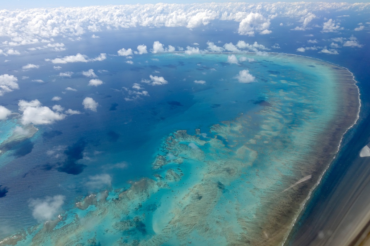 Arlington Reef
