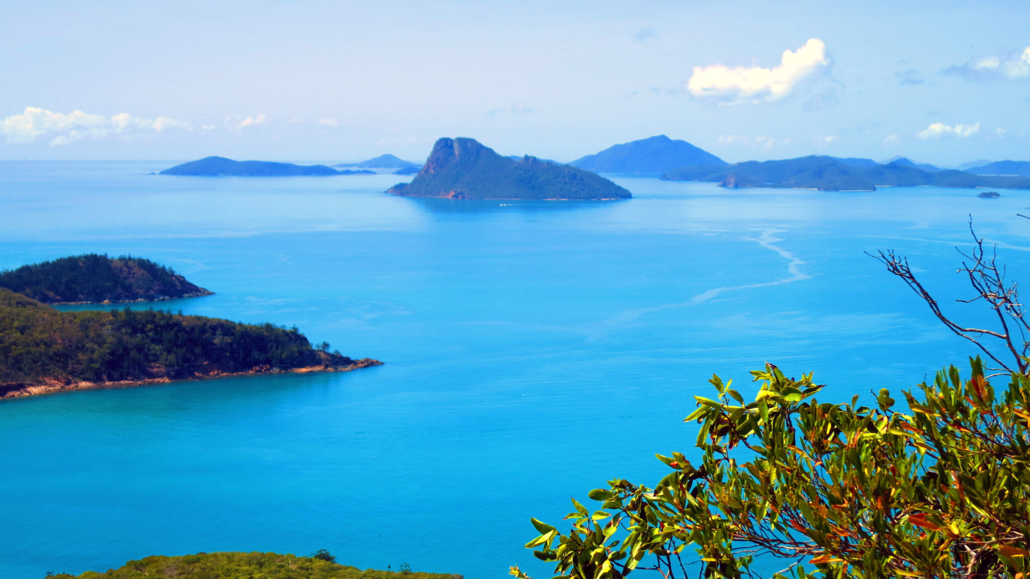 Landscape,In,Hamilton,Island,,Australia