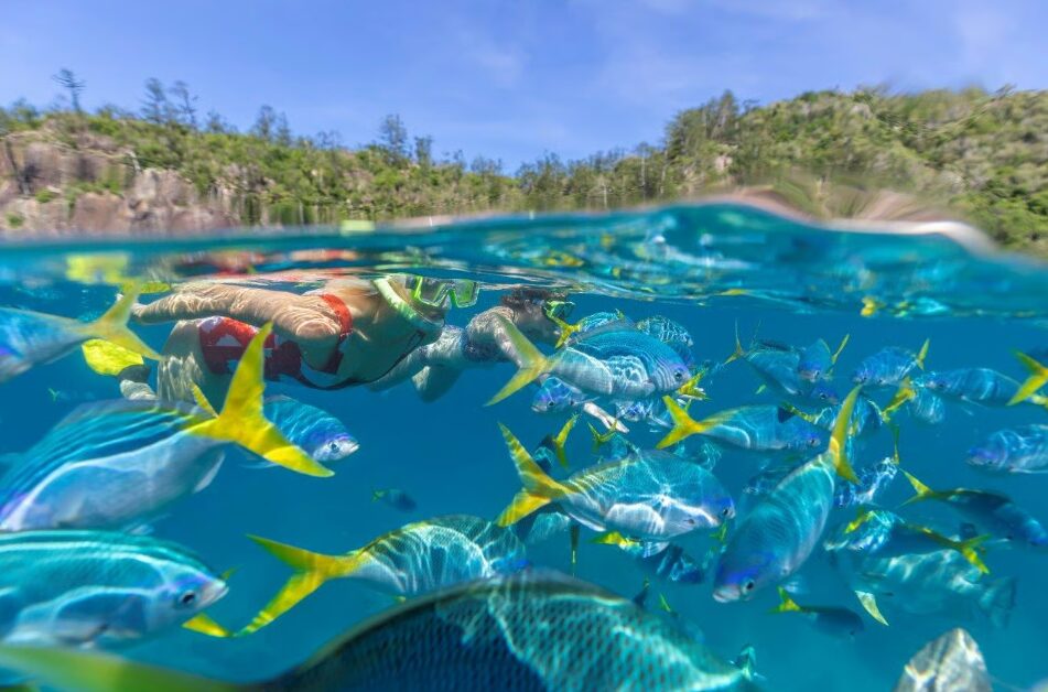 Manta Ray bay