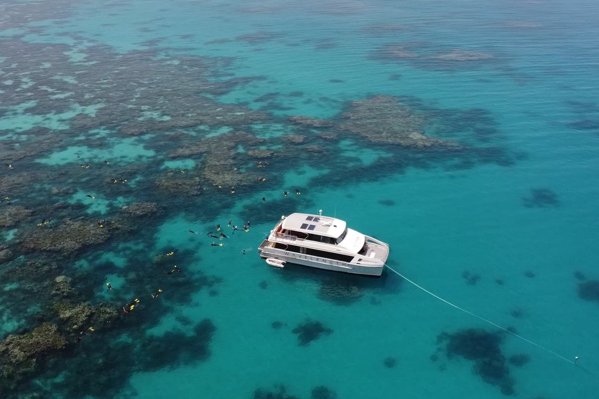 Opal Reef