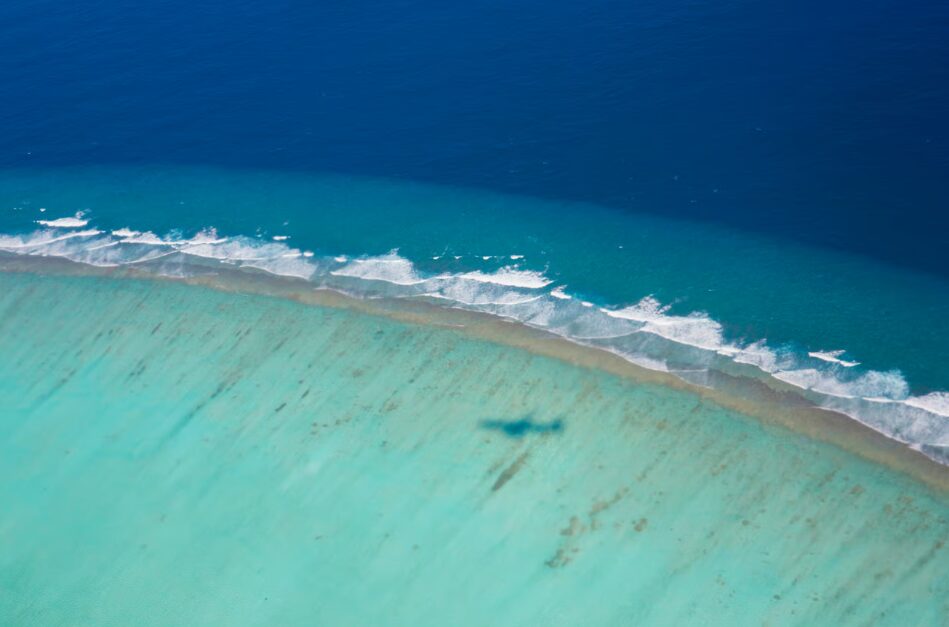 Ribbon Reef 3, Great Barrier Reef
