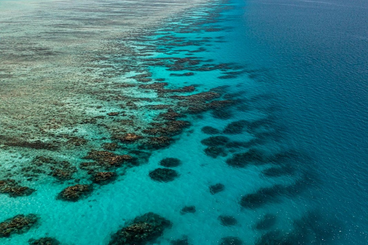 Ribbon Reef Great Barrier Reef