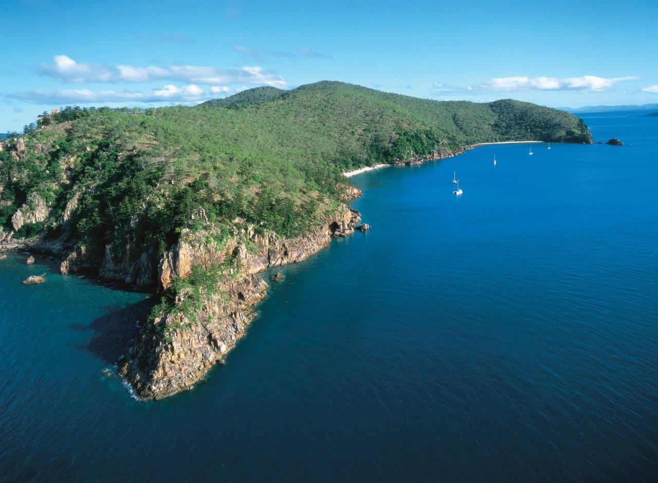 Blue Pearl Bay Whitsundays