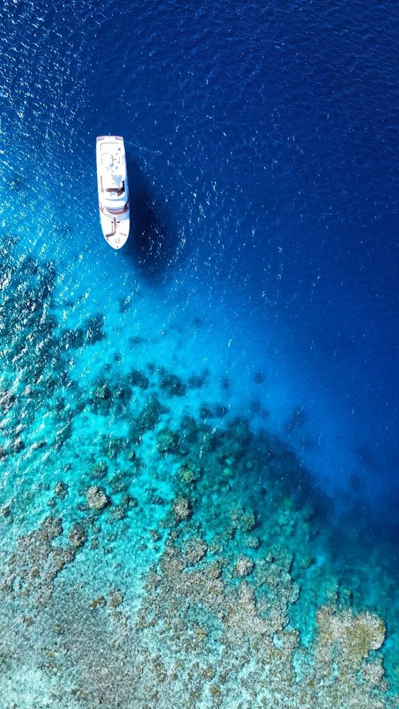 Beluga Luxury Yacht Charter Cairns Great Barrier Reef