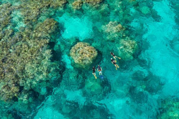 Agincourt Reef, Great Barrier Reef