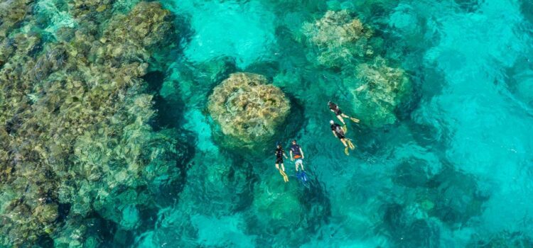 Great Barrier Reef Yacht Charter