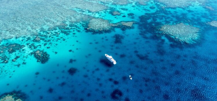 The Ribbon Reefs The Great Barrier Reef