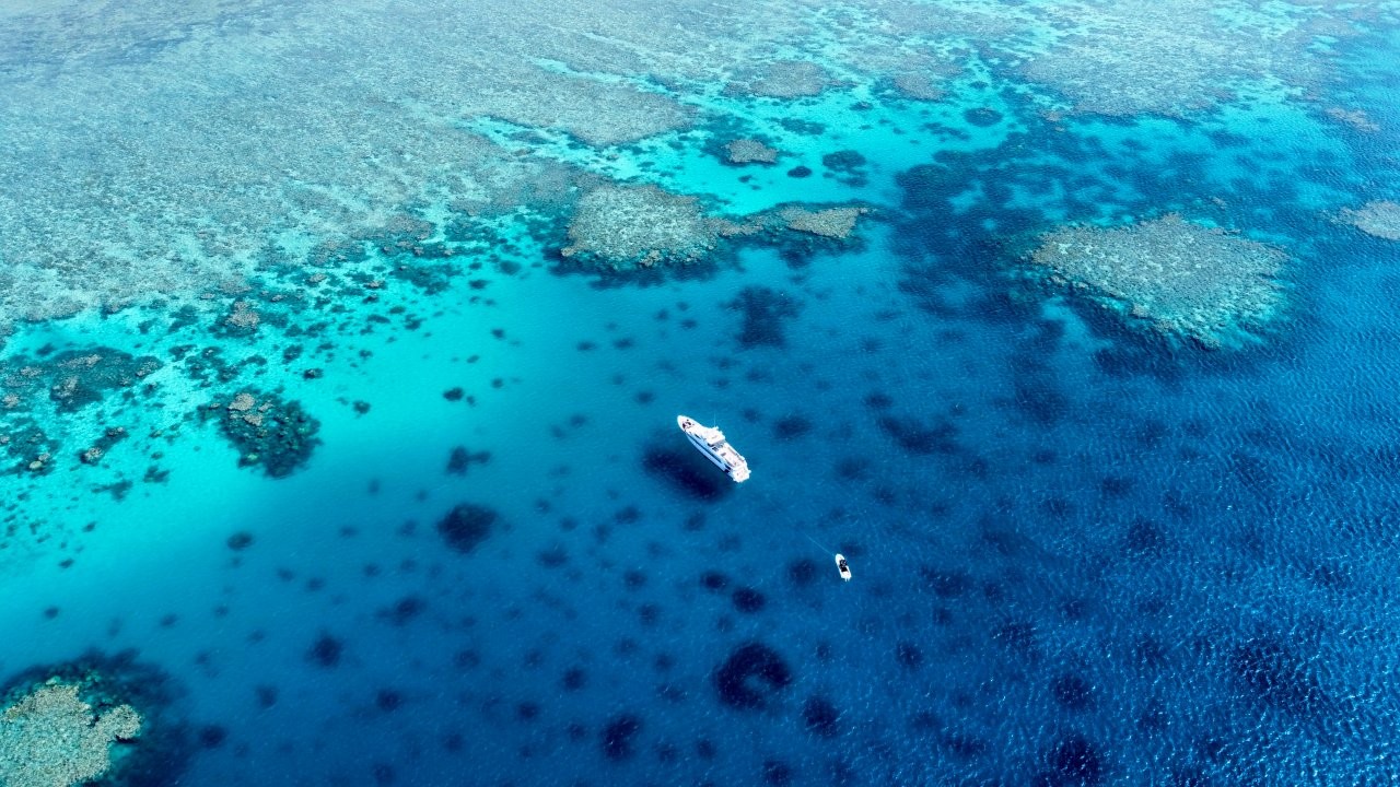 Phoenix One Luxury Charter Yacht at Great Barrier Reef