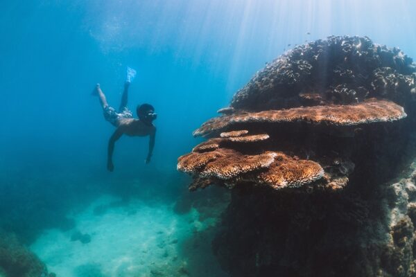 YOTSPACE superyacht voyages - Whitsundays - Snorkel the reef- Hook Island