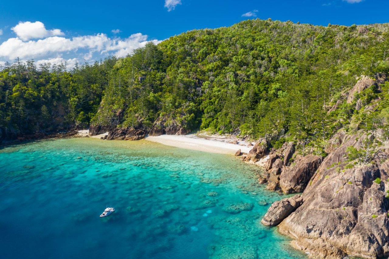 Whitsundays underwater art | Riptide Creative