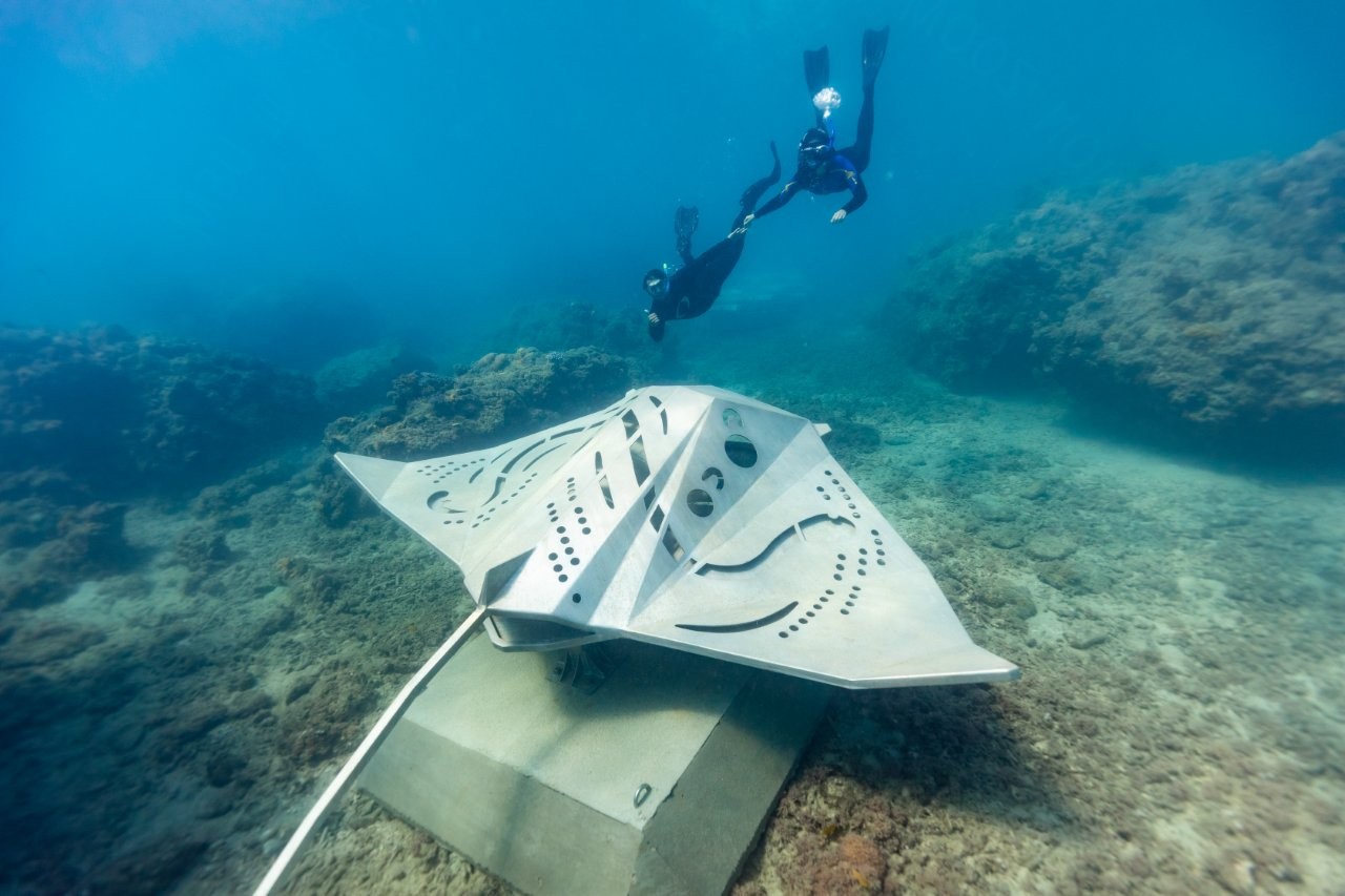 Whitsundays underwater art Manta Ray | Riptide Creative