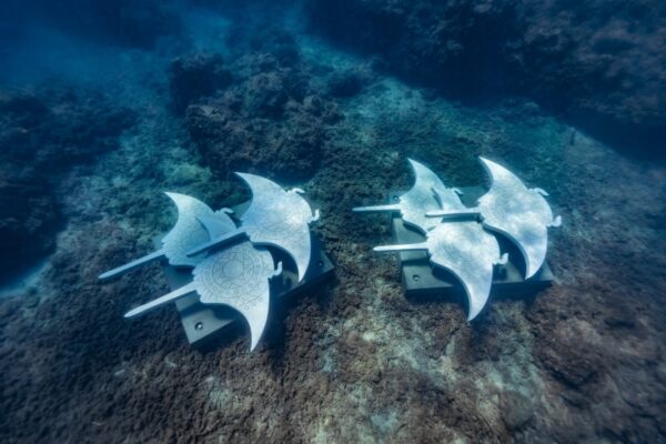 Whitsundays Underwater Sculpture Trail