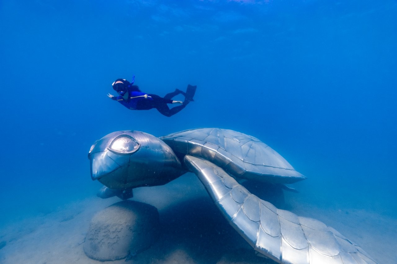 Whitsundays underwater art Turtle Dream | Riptide Creative