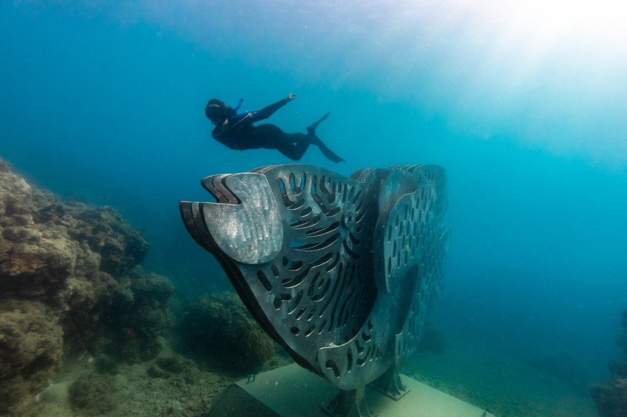 Underwater Art Whitsundays - Maori Wrasse